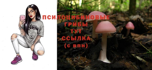 тгк Алзамай