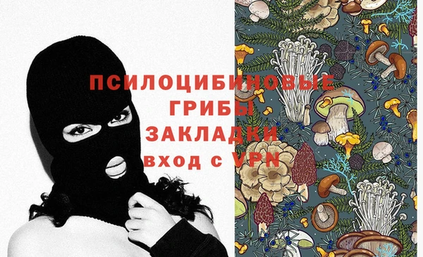Альфа ПВП Алексин