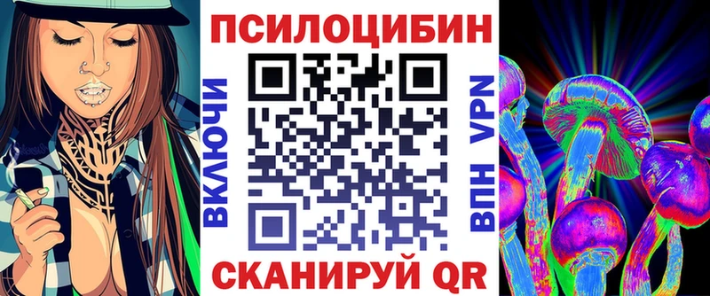 блэк спрут tor Славск Псилоцибиновые грибы Psilocybe